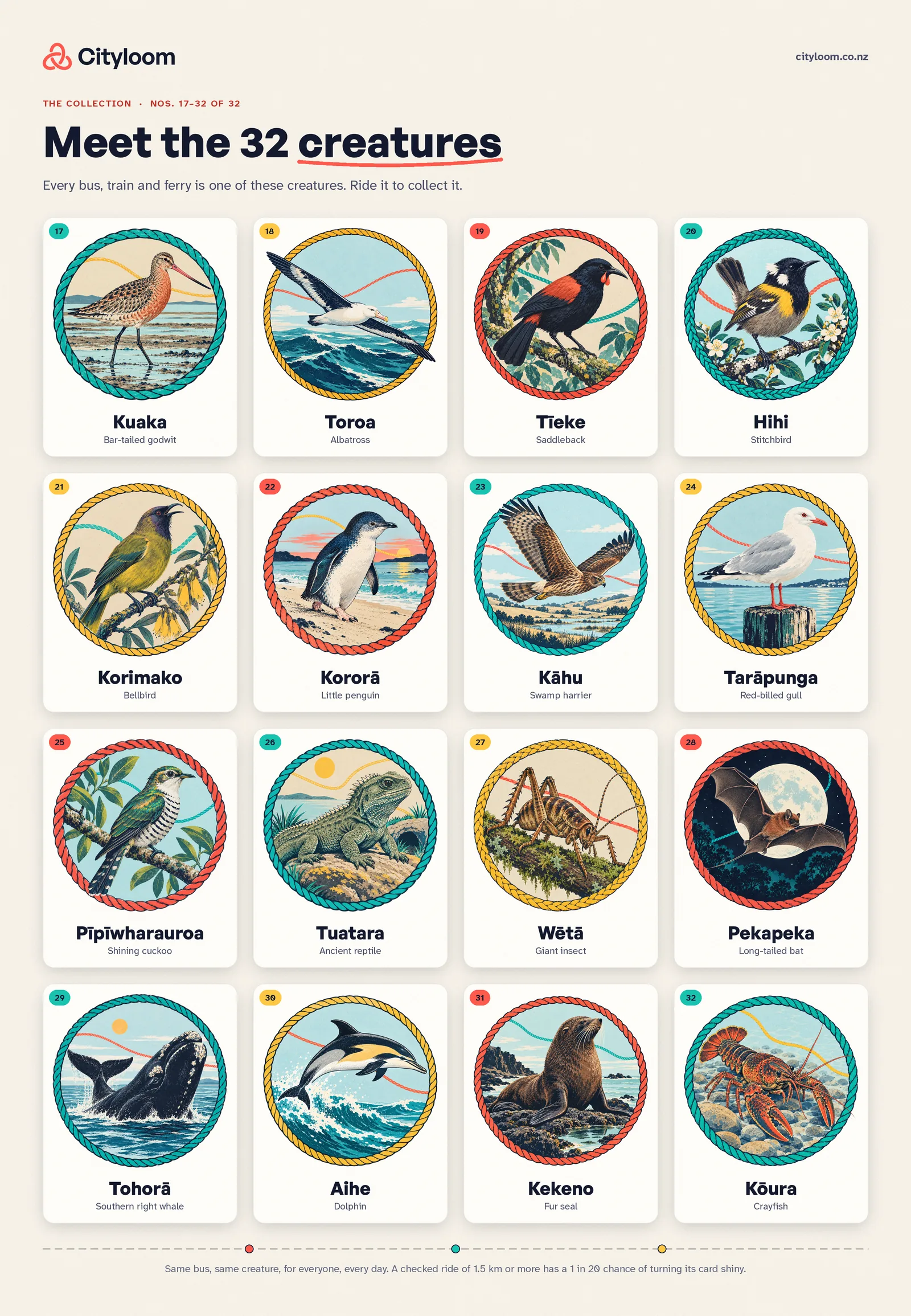 Cityloom creatures 17 to 32: Kuaka, Toroa, Tīeke, Hihi, Korimako, Kororā, Kāhu, Tarāpunga, Pīpīwharauroa, Tuatara, Wētā, Pekapeka, Tohorā, Aihe, Kekeno, Kōura
